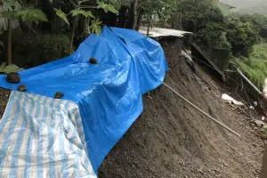 紅龍果價跌 屏東31歲青農這樣說