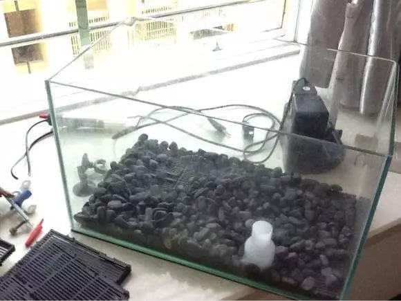家中出現這3種現象,家運必有大破財,財路被堵死