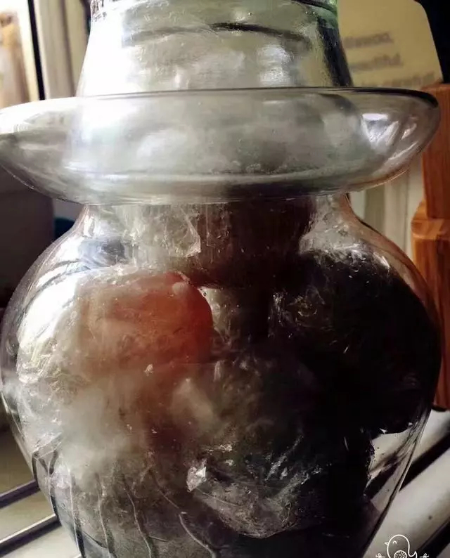 別再花錢買啦!自己做的「鴨蛋」鹹香好吃,簡單幾步驟就能翹腳等著吃!