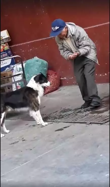 洗手台太高! 老人雙手捧水給狗狗喝 溫柔關切:還會不會渴?