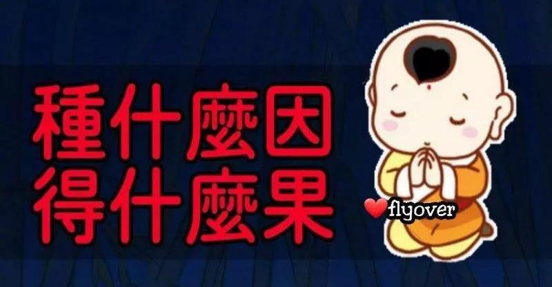 種什麼因得什麼果 施什麼心得什麼報