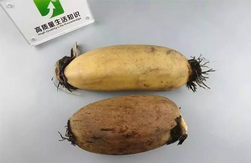 蓮藕是有9個孔和7個孔區別的,這樣的才好吃,去買菜的時候可別買錯了