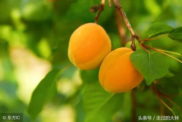一生很短,除了父母,誰都不必等(句句入心)