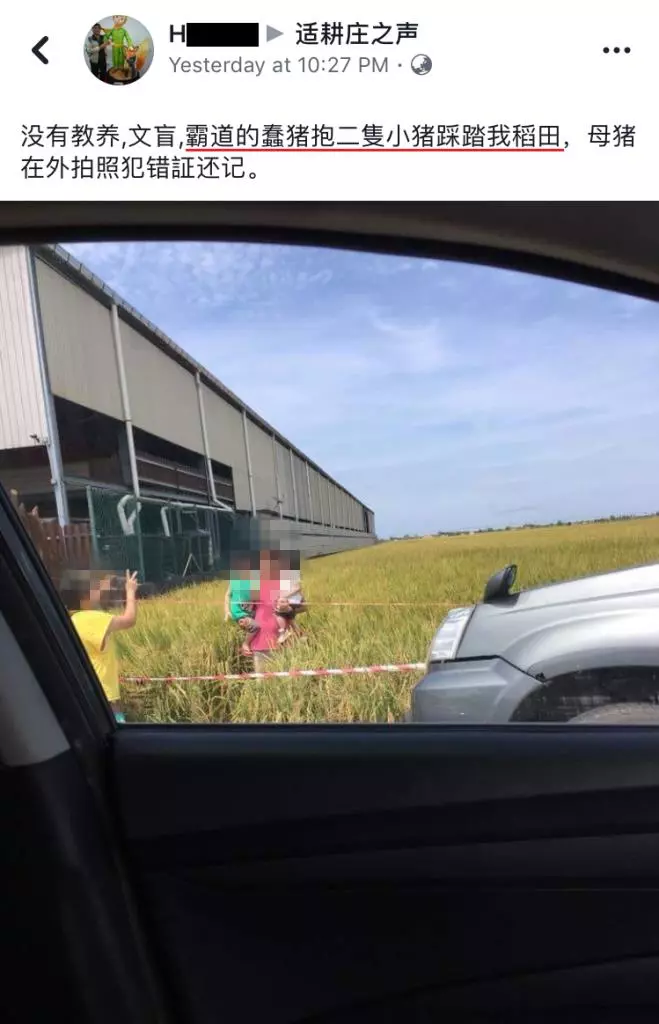為了裝逼無視告示牌踩扁稻農心血!!線民狂罵:沒腦!