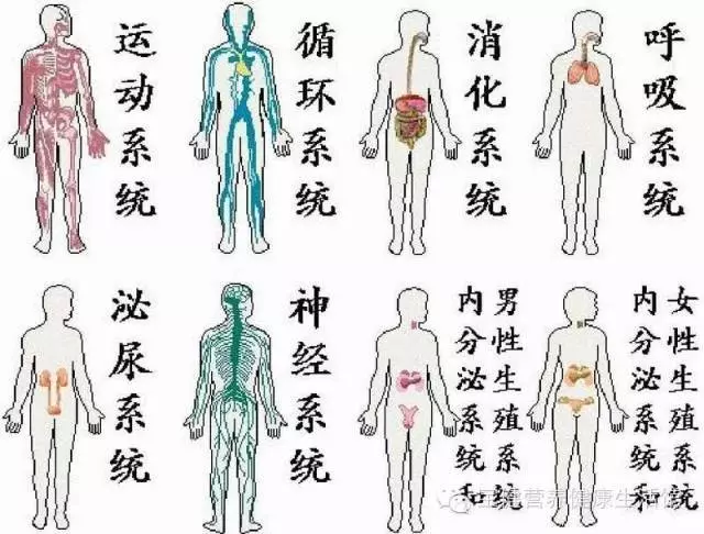 生一次氣 8大器官發生驚人變化