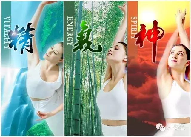 生一次氣 8大器官發生驚人變化