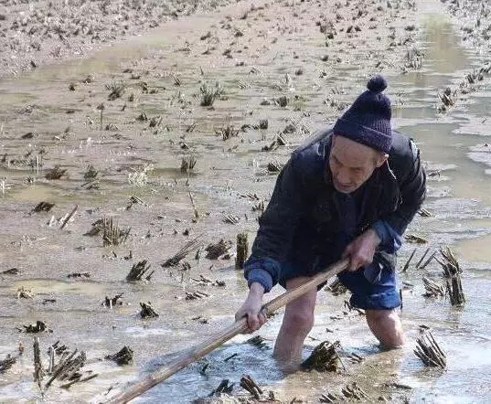 母親生病我拿不出錢,岳父讓妻子送來六萬,我欠的債拿什麼來償還