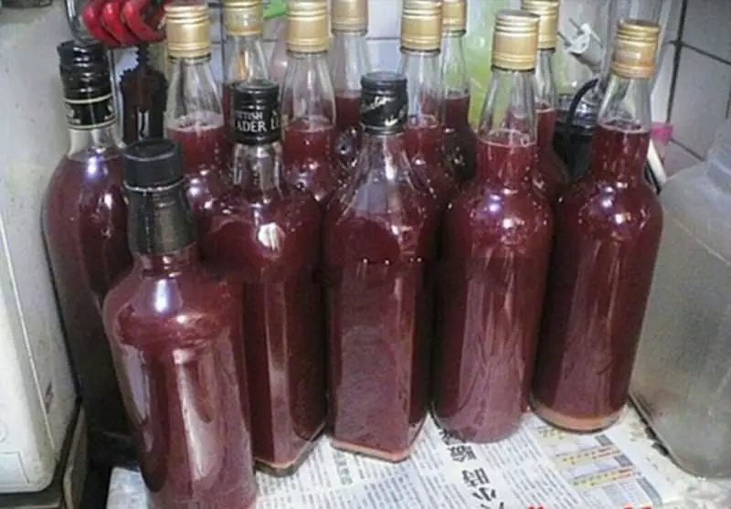 阿麻秘方~紅棗酵素做法 分享!簡單自製*喝了腰疼好了臉色也漂亮