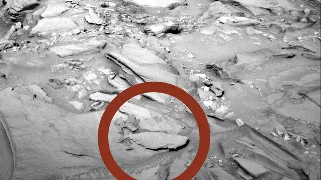 在火星發現大腿骨和機械戰甲?盤點NASA的火星趣圖與其科學解釋!