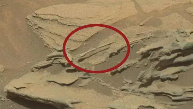 在火星發現大腿骨和機械戰甲?盤點NASA的火星趣圖與其科學解釋!