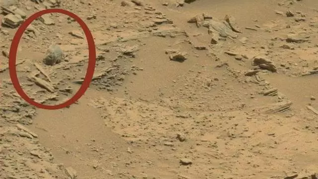在火星發現大腿骨和機械戰甲?盤點NASA的火星趣圖與其科學解釋!