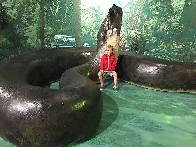 曾經在地球上存在的最巨大的卵生蜥蜴類動物!