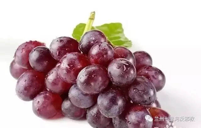 各種水果功效大全,讓你吃的明白吃的放心!