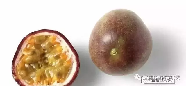 各種水果功效大全,讓你吃的明白吃的放心!