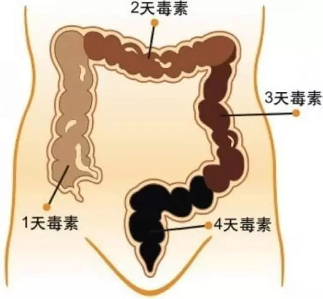 空腹喝下它,一個小時就能排出3公斤黑臭的陳年宿便!不信試一試!