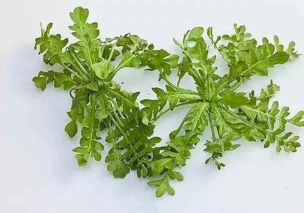 如果你家有人肝髒不好,買菜的時候注意要多買這7種,不僅效果好,還很便宜,不超10塊錢