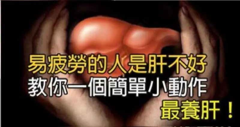 注意!容易疲勞的人是肝不好,教你一個「簡單小動作」把健康的肝養回來!