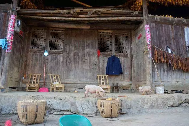 高攀婆家以後,婆婆知道父親得了重病,連夜買了火車票趕媳婦回家