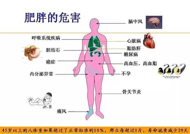 晚餐少吃就健康？錯誤晚餐5大傷害知道嗎，正確晚餐這樣的？