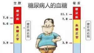 晚餐少吃就健康?錯誤晚餐5大傷害知道嗎,正確晚餐這樣的?