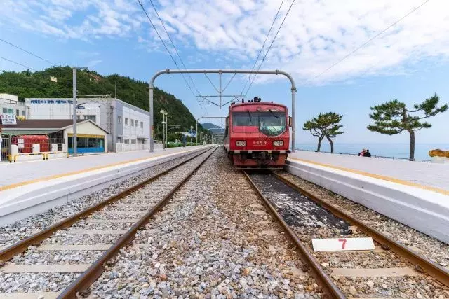 這個夏天,除了濟州島,當地人都去這個海邊度假啦