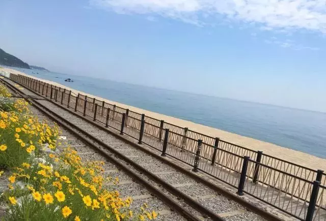 這個夏天,除了濟州島,當地人都去這個海邊度假啦