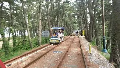 這個夏天,除了濟州島,當地人都去這個海邊度假啦