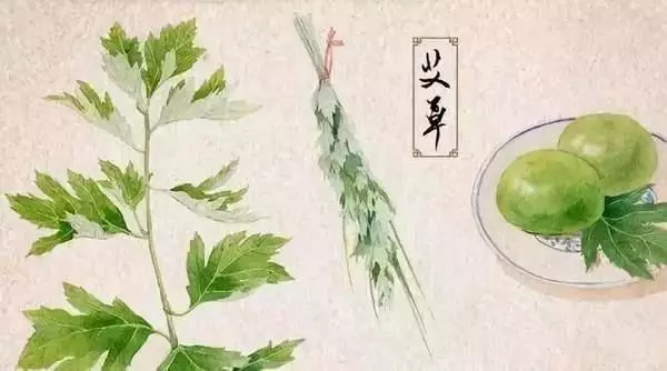 連粽葉是什麼都不知道,對得起剛吃進肚的粽子嗎?