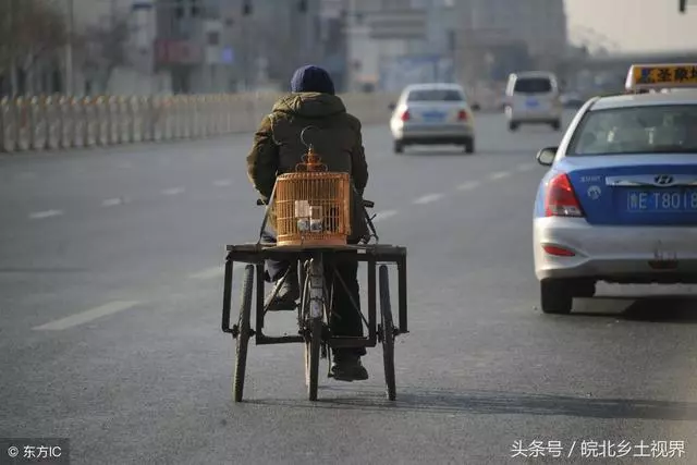 12張中國牛人奇葩發明看了心服,第9張老漢發明的「寶馬車」不錯