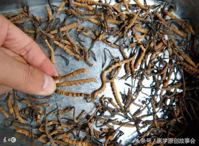 30歲小伙長期吃「冬蟲夏草」,救護車剛到現場,醫生卻說不用搶救了!