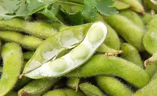 夏季吃毛豆,幫助洗刷血管及降三高