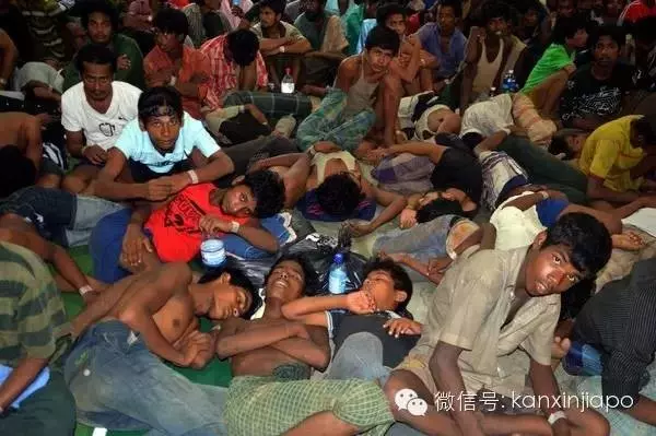 【700名兒童器官被販賣!?】在大馬和泰國邊界發現超過700名兒童的屍體,疑是販賣兒童器官!場面實在太殘忍了!