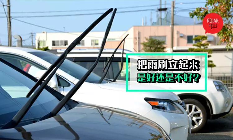 為什麼Park在路邊的車都會把Wiper「立」起來? 不知道原因的人都賠了好多錢! 快學起來吧~