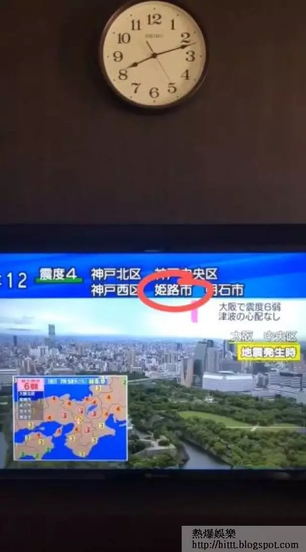 阮小儀:大阪地震 小儀金剛報平安:我哋無事 __,小儀,金剛,