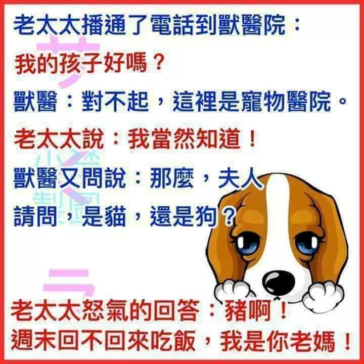讓人噴飯的10個超級笑話,不得不看!!!