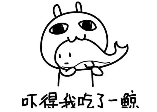 貓咪預言本屆世界盃,澳大利亞有望爆冷?聽說用大貓預測更准
