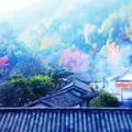 古代皇帝吃不完的菜最後都怎麼處理了?