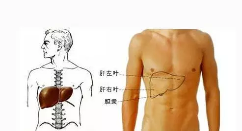 得肝癌前一個月,身體會有個最好認的徵兆,一旦出現就需警惕