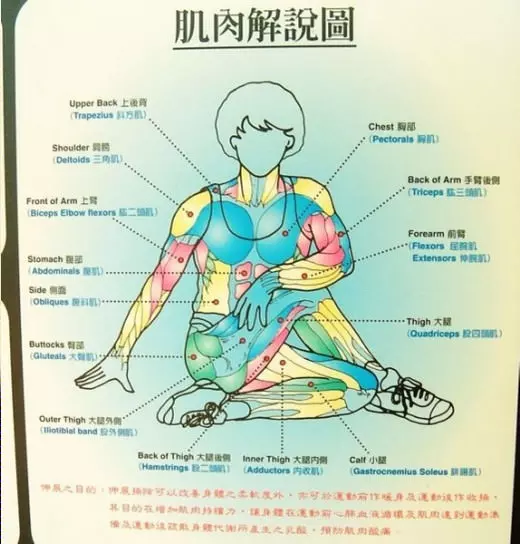 越活越年輕就要靠「拉筋」!超簡單「12個動作」讓你不再腰痠背痛,還能多活10年!