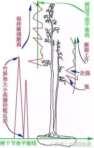 盆景走勢圖,大師級別的盆景文人樹節奏變化