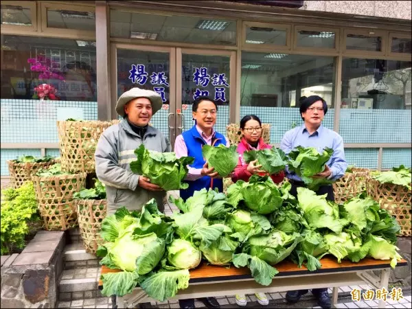 雲林蔬菜逃過雨災 農民籲政府勿釋冷藏菜打 壓菜價