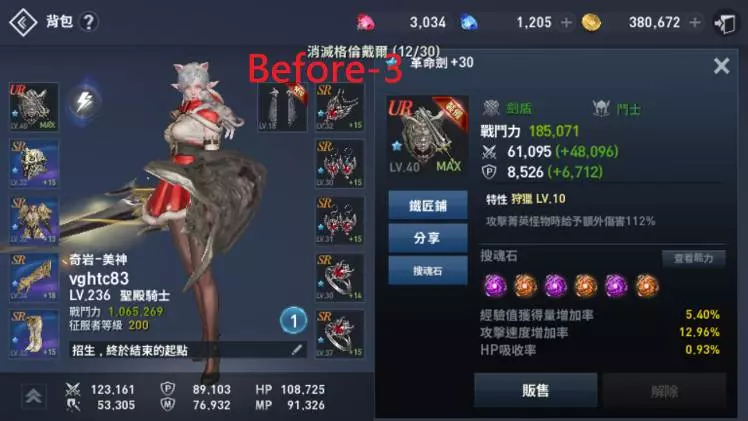 聖殿騎士(白妖)角色培養心路歷程