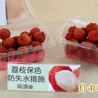 不願花1700元只穿一次 畢業生改造學士服 讓網笑瘋