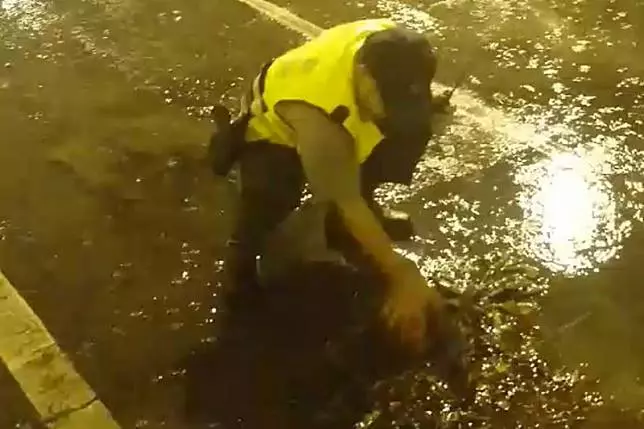 警察雨夜徒手清落葉 確保排水獲讚許