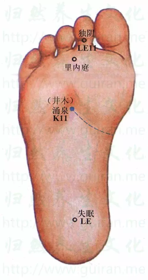 原來手常麻、小腿易抽筋,竟是內臟在求救!99%的人不知道,晚看後悔一輩子!