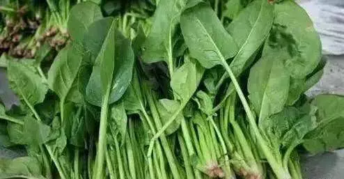 膽固醇沒了,脂肪肝沒了,就連降糖藥也停了,全靠心內科醫生的一個【小藥方】