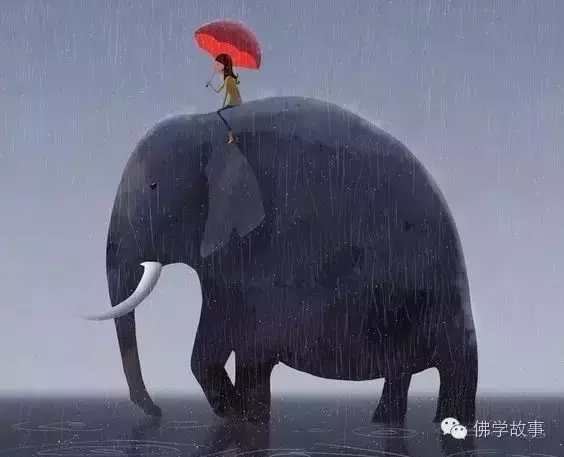 每個人終將獨自上路~象之背