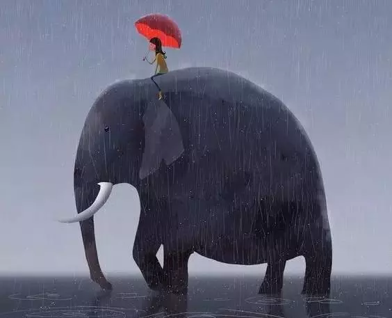 每個人終將獨自上路~象之背