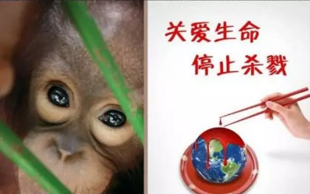 放生為什麼能夠治好絕症?