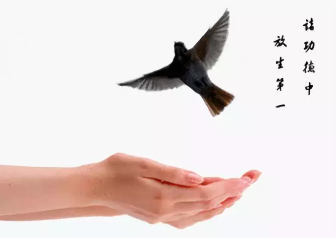 放生為什麼能夠治好絕症?